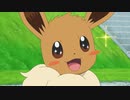 ポケットモンスター　第1話～第50話　第49話　コハルと不思議な不思議なイーブイ！