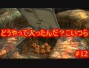 ピクミン３デラックス　ゲキカラ　#12　【だらだら実況】