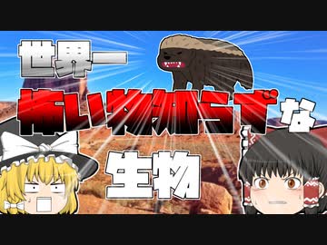 【ゆっくり解説】「世界一怖い物知らず」な生き物