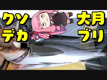 【クソデカブリを食べ終えるまで】 「茜ちゃんが美味いと思うまで」RTA ??:??:?? WR