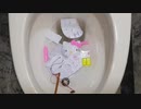 ハローキティのおもちゃをトイレに流してみた１