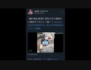 ホモと見る淫夢に代わる大人気覇権コンテンツ「sakurei_mania」
