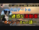大山ゲートの活動家　ボギー大佐の言いたい放題　2020年11月17日　21時頃　放送分