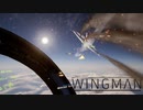 リアルな戦闘機ゲーProject Wingmanで無双目指します。#9[VR実況プレイ]