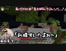 【Minecraft】視聴者０人から始める実況者生活～11日目～【Skyblock】