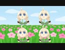 あかり草×4