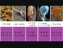 猛毒を持つ生物とその生息地