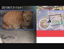 戸籍泥棒対策■数十年以上頑張った公務員警察等高学歴男女にTrophy wife/husbandじゃ無く戸籍頂戴？【恋人商法詐欺】【WHITE ONLY】■ORION_20110311