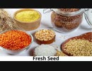 Essential Tips for Growing a Successful Crop