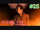 RE出たけど無印版を初見プレイ【真・女神転生ⅢNOCTURNE】　＃25