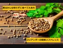 【スパイスを知ろう！】コリアンダーを知ろう！【part8】