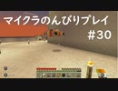 【マイクラ】のんびりプレイ #30