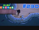 【実況】ジョニーちょっと待ってて！多分マグロだから！ #230【あつまれどうぶつの森】