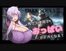 【ダクソ3】残り火使用するとおっぱいがでかくなるPart7