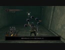 【ダクソ２】葵ちゃんが闇魔術師を目指してみる！　その35