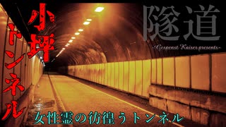 【心霊】超有名心霊トンネル!?数多くの噂を持つ小坪トンネル【ゲッティ】