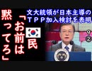 ＷＴＯすら守れないのに...　【江戸川 media lab HUB】お笑い･面白い･楽しい･真面目な海外時事知的エンタメ