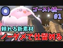 【実況】ポケモン剣盾 冠の雪原 ゴースト統一でたわむれる Part1