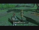 【ゆっくり実況】　ゼルダの伝説BotW　#40