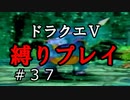 【ドラクエ5 縛りプレイ】グランバニア王になるため試練に挑戦！Part37【アルカリ性】