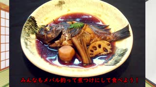 【ゆっくり解説】冬が旬！メバル釣り入門編　#3