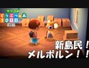 【実況】やりこめ どうぶつの森 010日目 前編