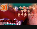 あれ…美少女に転生するゲームじゃなかったの⁉【真・女神転生Ⅲ HD_Re】実況プレイ  part30