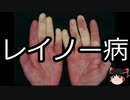 【ゆっくり朗読】ゆっくりさんと不思議な病気 その273