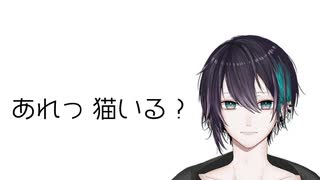 「あれっ、猫いる？(脳死)」