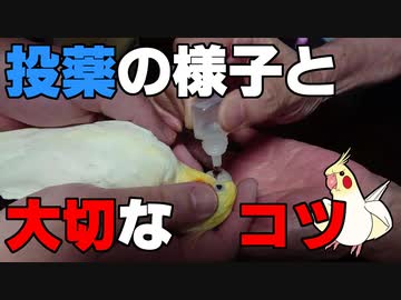 24歳だから薬ぐらい我慢できるモンね！
