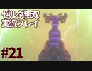 【実況】ゼルダ無双厄災の黙示録をやる#21