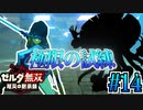 【厄災の黙示録実況】最後にして新たな試練 #14