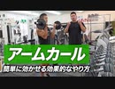 簡単に効く！アームカールの効果的なやり方【ビーレジェンド プロテイン】