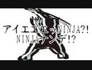 アイエエエッNINJA?!NINJAナンデ!?