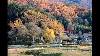 10年以上前のニコンヴィンテージデジタル　写真