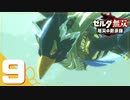 【ゼルダ無双 厄災の黙示録】BotWの100年前の戦いへ！*実況＃9