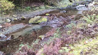 【VOICEROID車載】今年４月にオープンしたばかりのキャンプ場でキャンプしたかった話