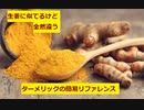 【スパイスを知ろう！】ターメリックを知ろう！【part10】