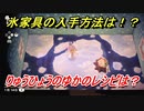 あつまれどうぶつの森　氷家具の入手方法は！？氷家具レシピはどこ？　りゅうひょうのゆか編　【あつ森】