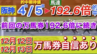 【28】競馬で勝つためにスポーツ紙の「数値」を分析し、データ化。利益を出すことにこだわり、検証します。