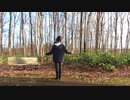 【踊ってみた】murTó（from.Tómur）【きんしたまご】