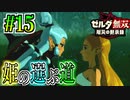 【厄災の黙示録実況】責務と覚悟 #15