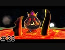 初心者実況者がする。スーパーマリオギャラクシー　＃25