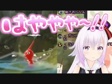 カルロ・ピノ「はややや～！！」