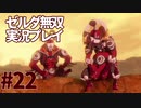 【実況】ゼルダ無双厄災の黙示録をやる#22