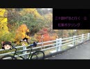 【三十路MTBと行く】 紅葉ポタリング? — ClassicAmerica