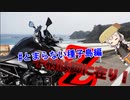 【Z900】手柄は脚に在り！とまらない種子島編#3【紲星あかり】