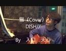 猫 / DISH//（Cover）　【入口　天心】