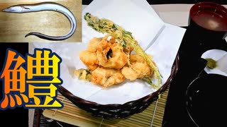 【料理】鱧(はも) 天ぷら　骨吸い #147