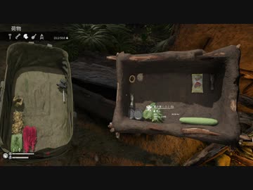 【GREEN HELL】ノーマルな密林でサバイバル　3話【ゆかマキ実況】